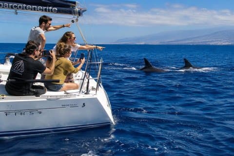 Small group sailing excursion 'Dreamer' with swimming