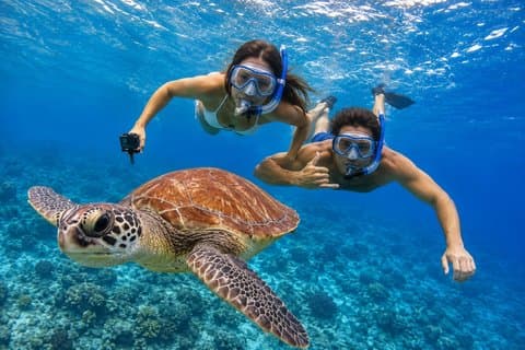 Deepfin snorkeling adventure in Tenerife Marine life exploration