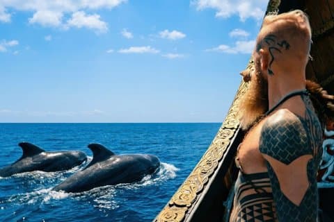 Tenerife Whale and Dolphin Watching + SWIM STOP