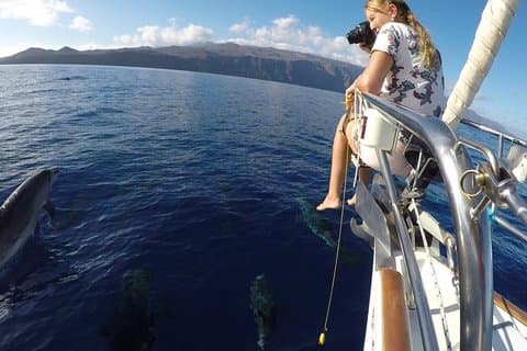 Boat Tour Discovering El Hierro Custom Private Tour