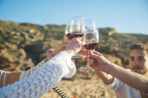 Wine and Cava Tour in Penedes from Barcelona with Hotel Pickup