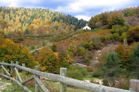 Irati Forest Tour Discover the Navarra Forest