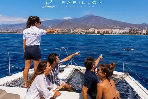 Los Cristianos: Luxury Whale Watch Swim Stop Food & Drinks