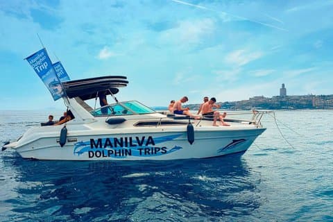 Dolphin Watching in Manilva