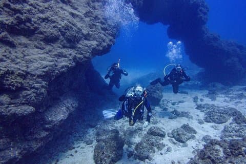 Guided 2-Dive Scuba Trip in South Tenerife