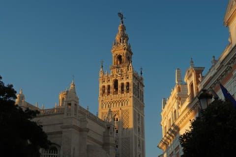 Walking Tour of Seville Cathedral with Guide