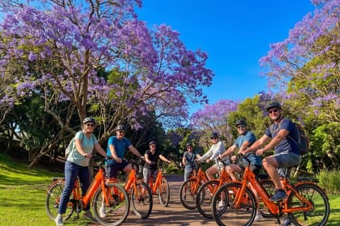 Santa Cruz de Tenerife Highlights Bike Tour with E-Bike Option