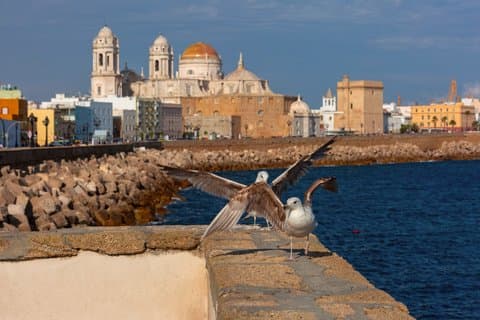 Cádiz Bay Private Sailing Experience