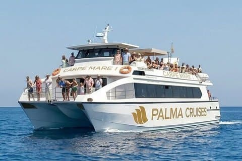 5-Hour Snorkeling in Palma Bay