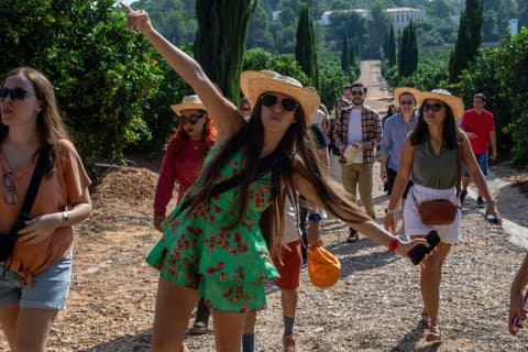 From Valencia: Orange Grove Experience + Transport & Tasting