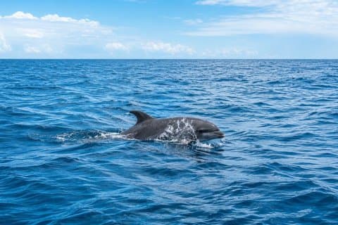 Private Yacht Tour in Fuengirola with Snacks and Drinks