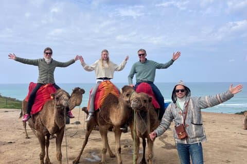 Tangier Private All-In Day Experience from Marbella & Malaga