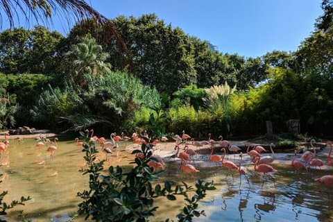 Barcelona Zoo Skip The Line Ticket and Digital City Walk