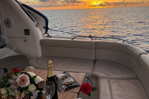 Tenerife Sunset Private Cruise Whale Watching and Swim Stop