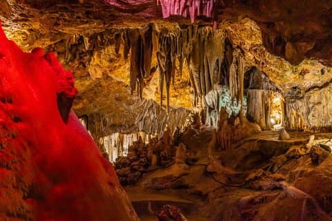 Genova Caves Admission Ticket Palma de Mallorca