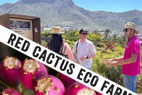 Finca Tuno Canarias – Red Cactus Farm Experience & Tasting