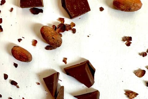 Pomegranate chocolate tasting from bean to bar
