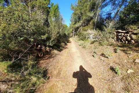 Discover the Charm of St. Gertrudis by E Bike