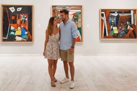 Barcelona: Museu Picasso and 5 Top Art Museums Ticket with Audio