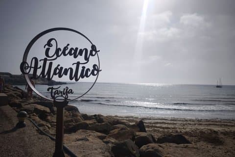 Tarifa Day Trip from Seville - Beach, Whales and Dolphins