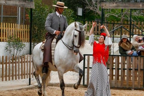 Authentic Dinner Experience Spanish Horses and Flamenco Fusion