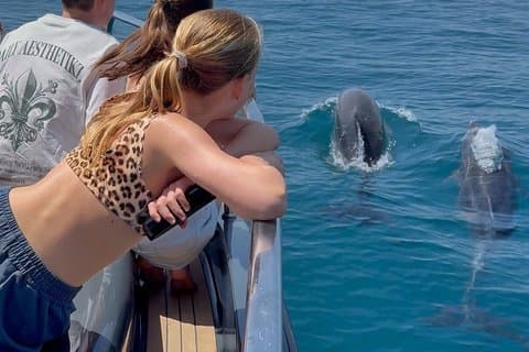 2H Private Dolphin Trip With Drinks Included in Estepona