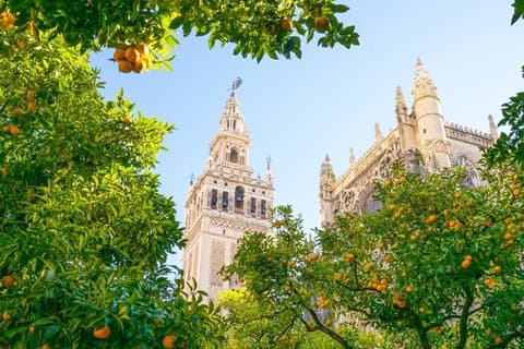 Essential Seville: Tour of the Great Monuments and Santa Cruz