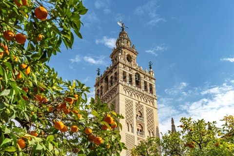 Seville: guided tour of Alcazar, Cathedral, Giralda and Santa Cruz