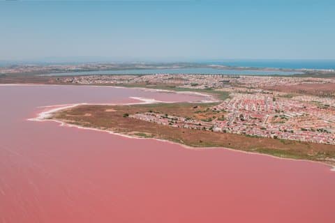 All-Inclusive Pink Lake & Tabarca Island Day Trip from Torrevieja