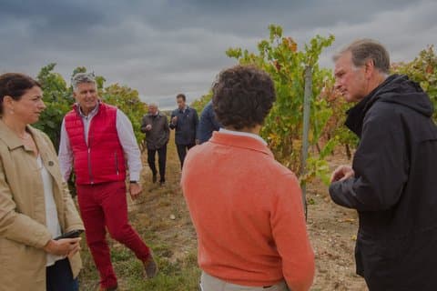 Premium Wine Tour and Wine Tasting in Aranda de Duero
