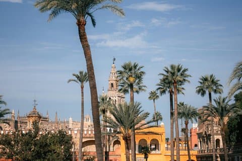 Alcázar, Cathedral & Giralda: Guided Tour with Fast-Track Tickets