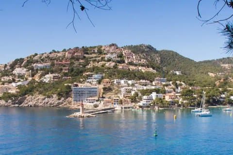 Boat Transfer between Puerto Andratx and Sant Elmo