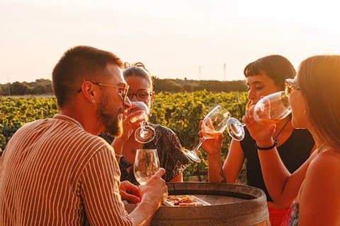 Winery Tour in Menorca with Wine Tasting