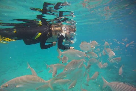 Get Wet Snorkeling Tour to Isla de Lobos from Corralejo