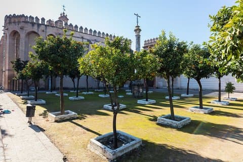 Guided tour of the Monastery of San Isidoro del Campo