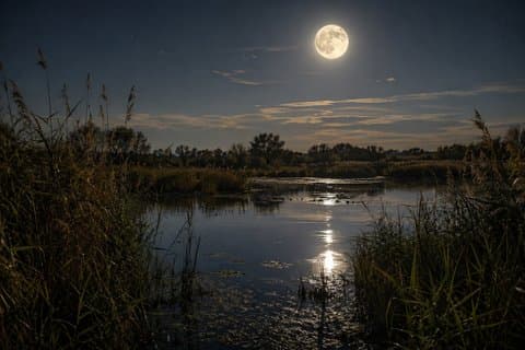 Explore the Night Secrets of the Ebro Delta