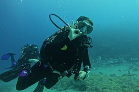 Playa Blanca Scuba Diving for Beginners with Free Videos
