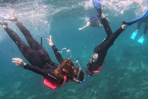 Playa Blanca Snorkeling Experience with Transportation