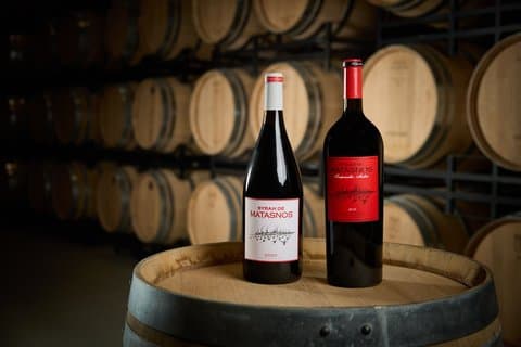 Visit and Tasting of Ribera del Duero Exclusive Winery in a Forest