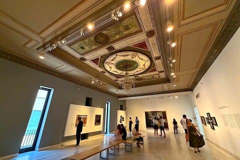 Picasso Museum | 2h Private guided tour visit | Skip the line