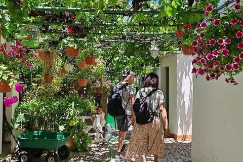 Gran Canaria:Agaete Coffee Plantation, Wine Tasting & Garden Tour
