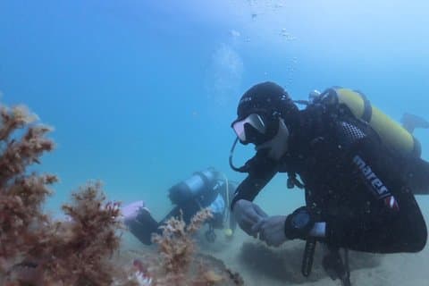 Diving Christening in Barcelona Small Group