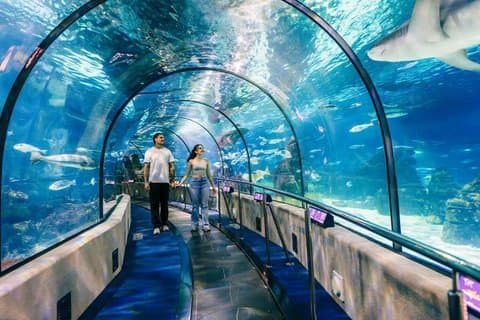 Barcelona Aquarium Skip-the-Line Tickets