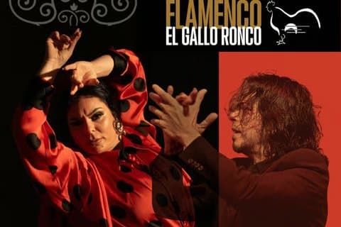 Flamenco Show at El Gallo Ronco Málaga