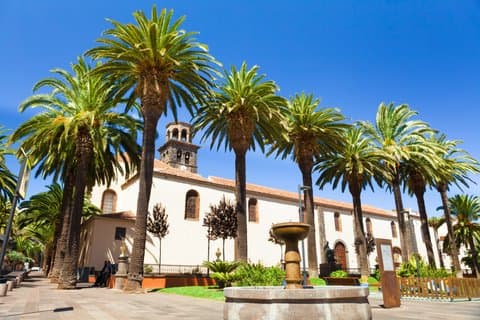 Highlights of Tenerife: Scenic Shore Excursion with Port Pickup