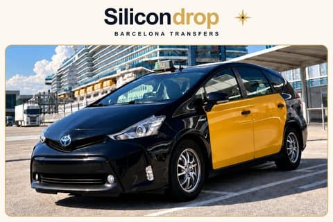 Barcelona Private Taxi Transfer Hotel to Cruise Port