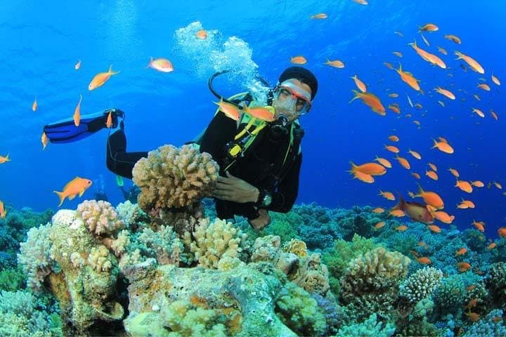 Discover Scuba Diving - Gran Canaria