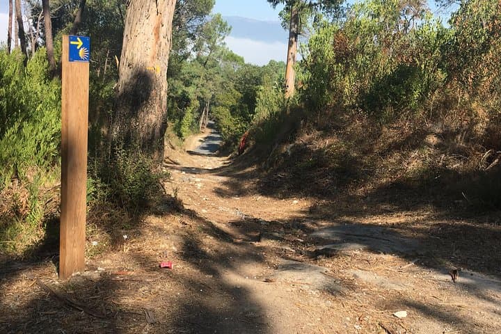 7 nights Coastal Camino Superior Collection