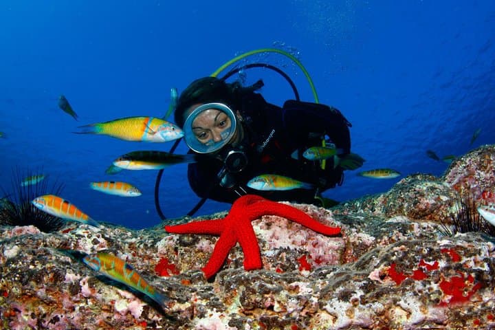 Scuba Diving Baptism in Caleta de Fuste