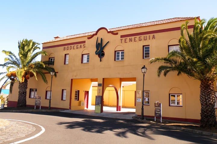 Visit Bodegas Teneguía winery in La Palma with wine Tasting